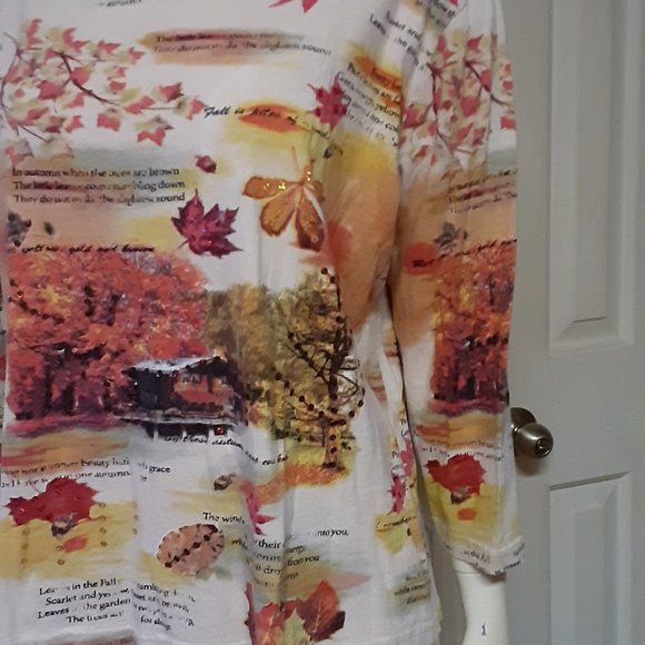Pretty Autumn Top W/ Sequins - Picture 3 of 5